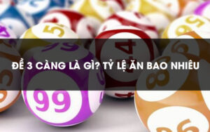 3 càng là gì